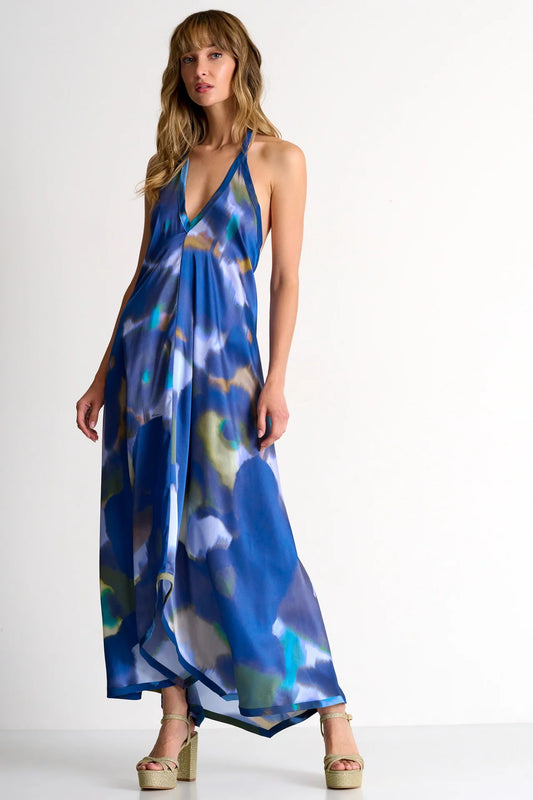 Shan Iris Silk Maxi Dress