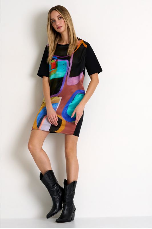 Shan Printed Silk Dress
