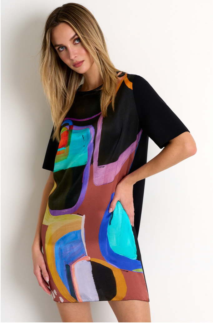 Shan Printed Silk Dress