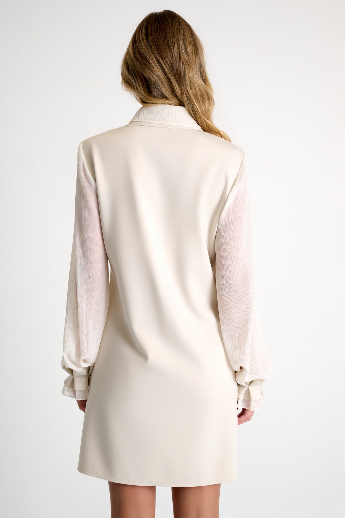 Shan Crinkle Sleeve Dress