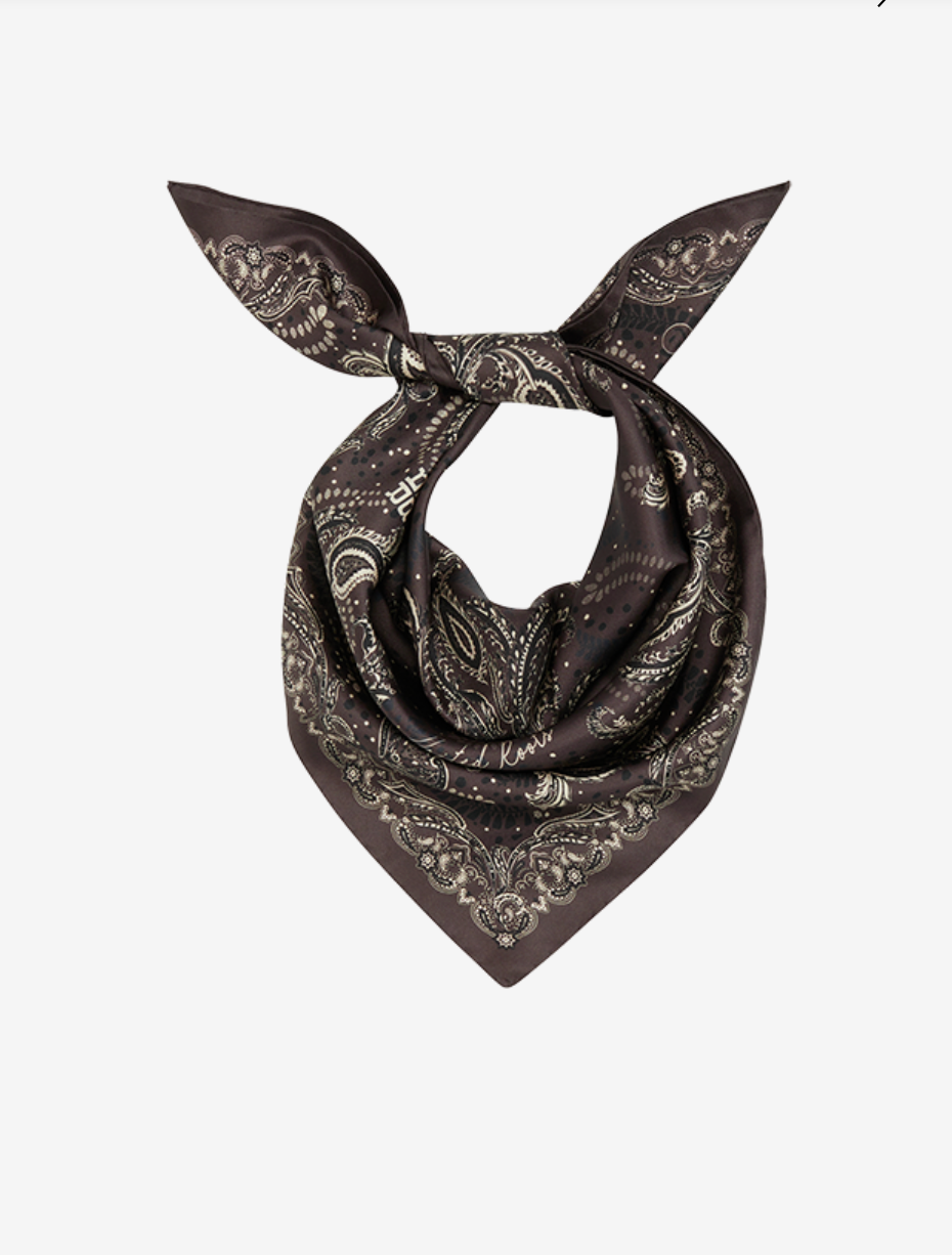 Riani Paisley Silk Scarf