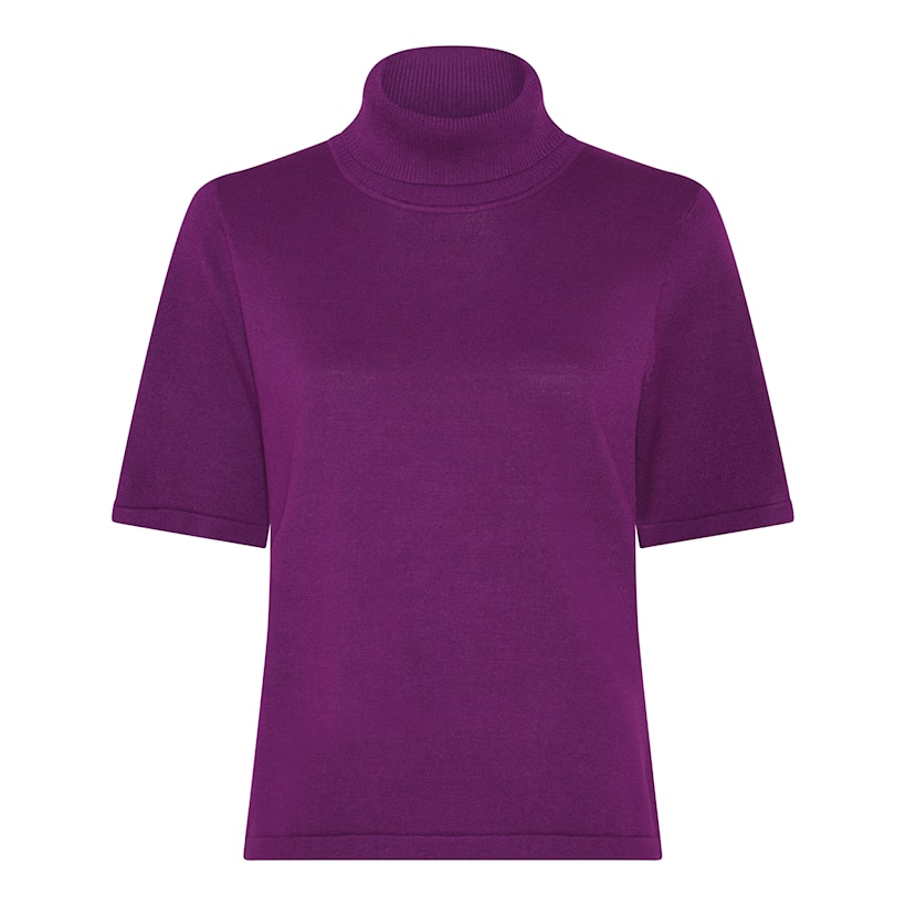 Micha Short Sleeve Knit Turtleneck